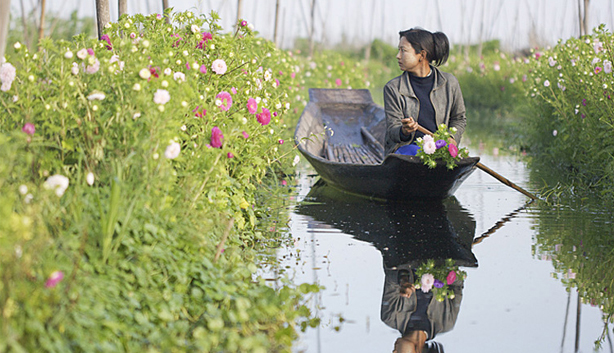 Flower floating garden - Inle lake