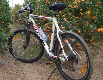bikes in Vietnam